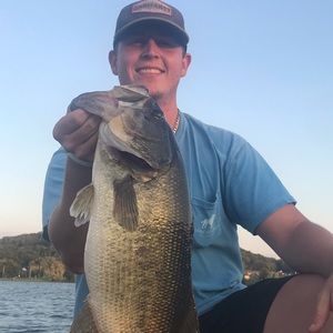 Meet your Posher, Tanner